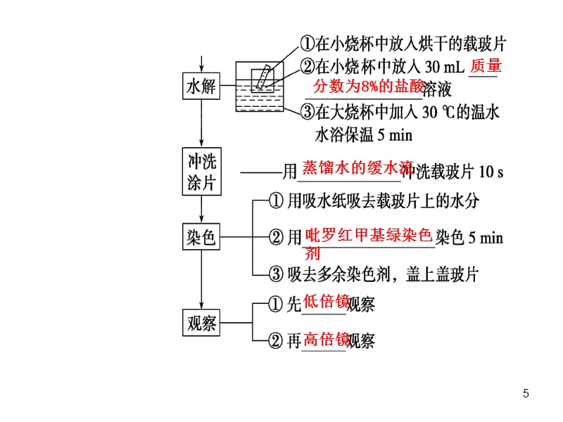 生物必修一遗传信息的携带者核酸ppt课件.ppt_第5页