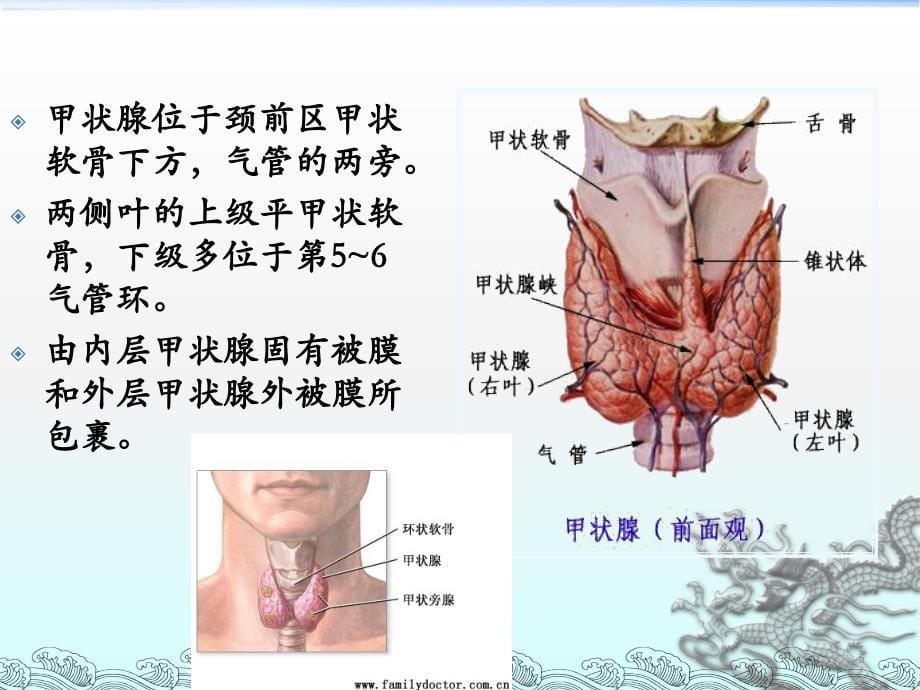 甲状腺疾病护理ppt课件.ppt_第5页