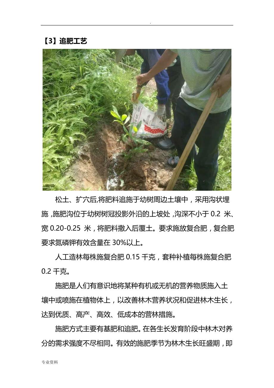 造林工程主要施工工艺设计_第3页