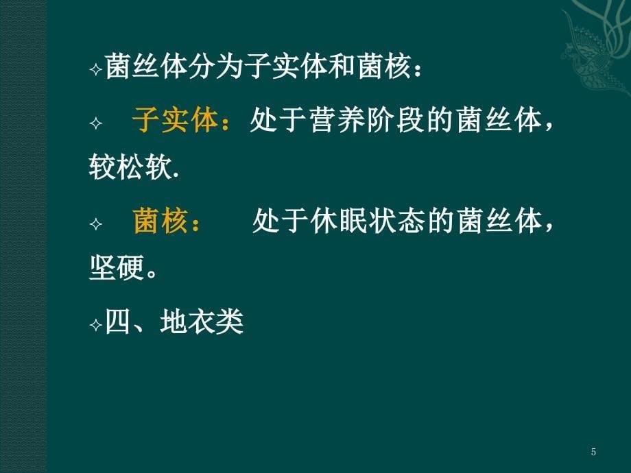 菌类生药ppt课件.ppt_第5页