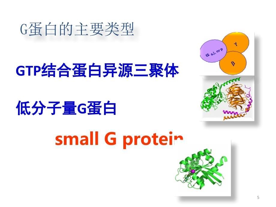 细胞信号转导pt课件.ppt_第5页