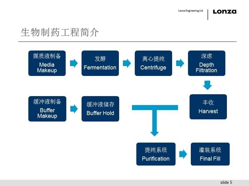 生物制药工程案例简介_第5页