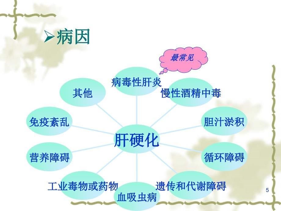 肝硬化的护理ppt课件 (3).ppt_第5页