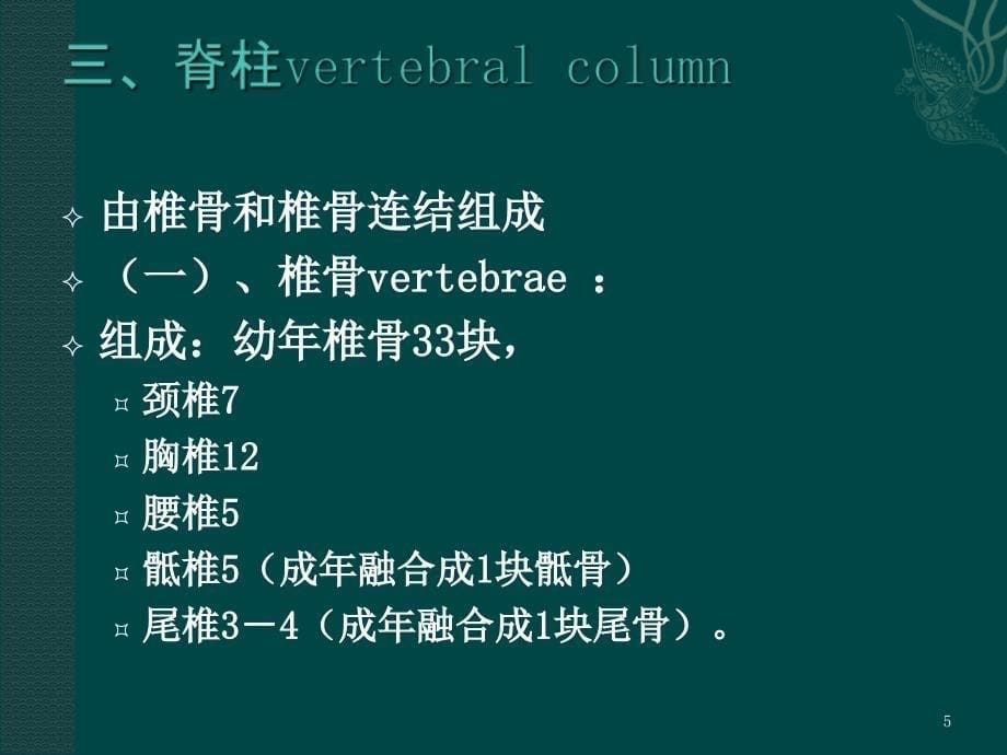 脊柱解剖ppt课件 (3).ppt_第5页