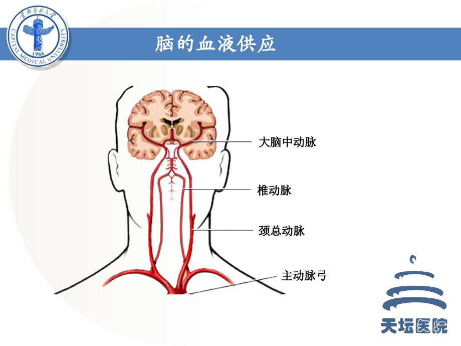 颈部血管病变磁共振成像技术规范选择与应用_第4页