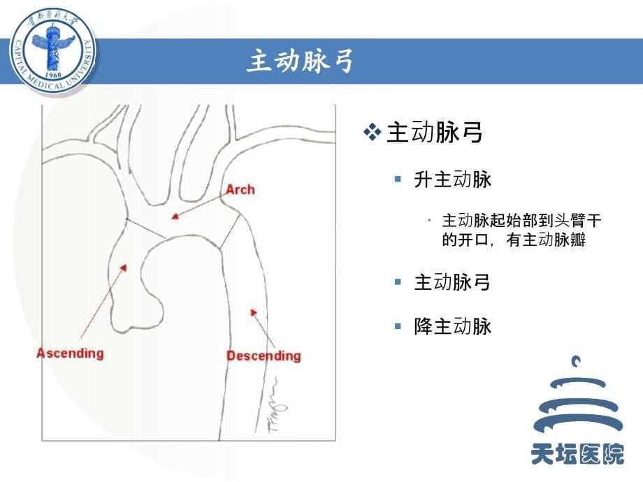 颈部血管病变磁共振成像技术规范选择与应用_第5页