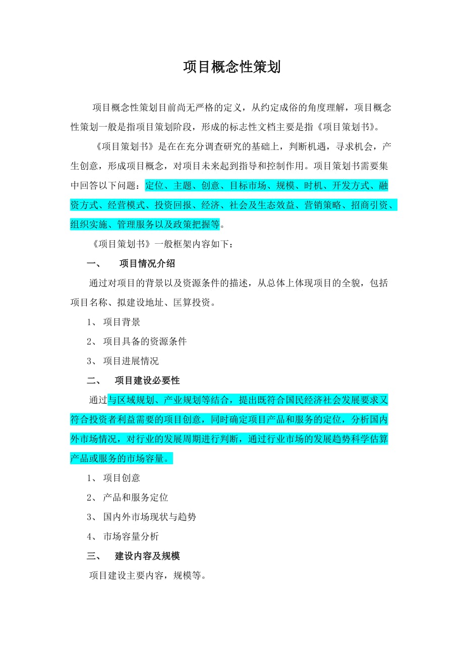 项目概念性策划格式.doc_第1页