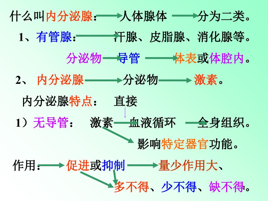 解剖学内分泌ppt课件.ppt_第2页