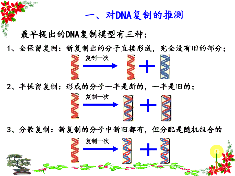 高中生物必修二3.3 DNA分子的复制PPT课件_第2页