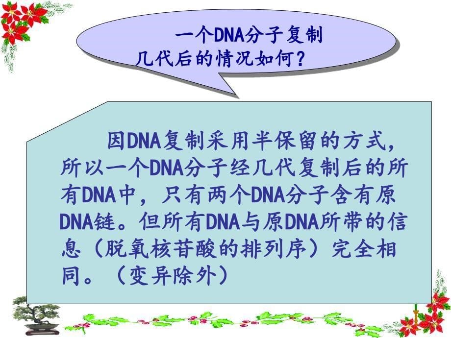 高中生物必修二3.3 DNA分子的复制PPT课件_第5页