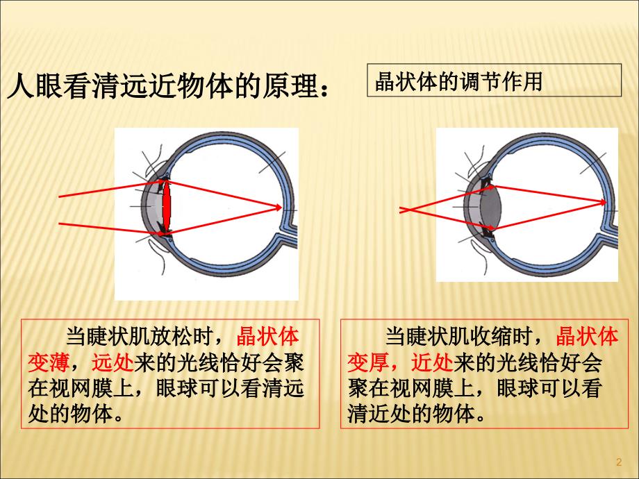 近视眼与远视眼的成因及矫正ppt课件.ppt_第2页