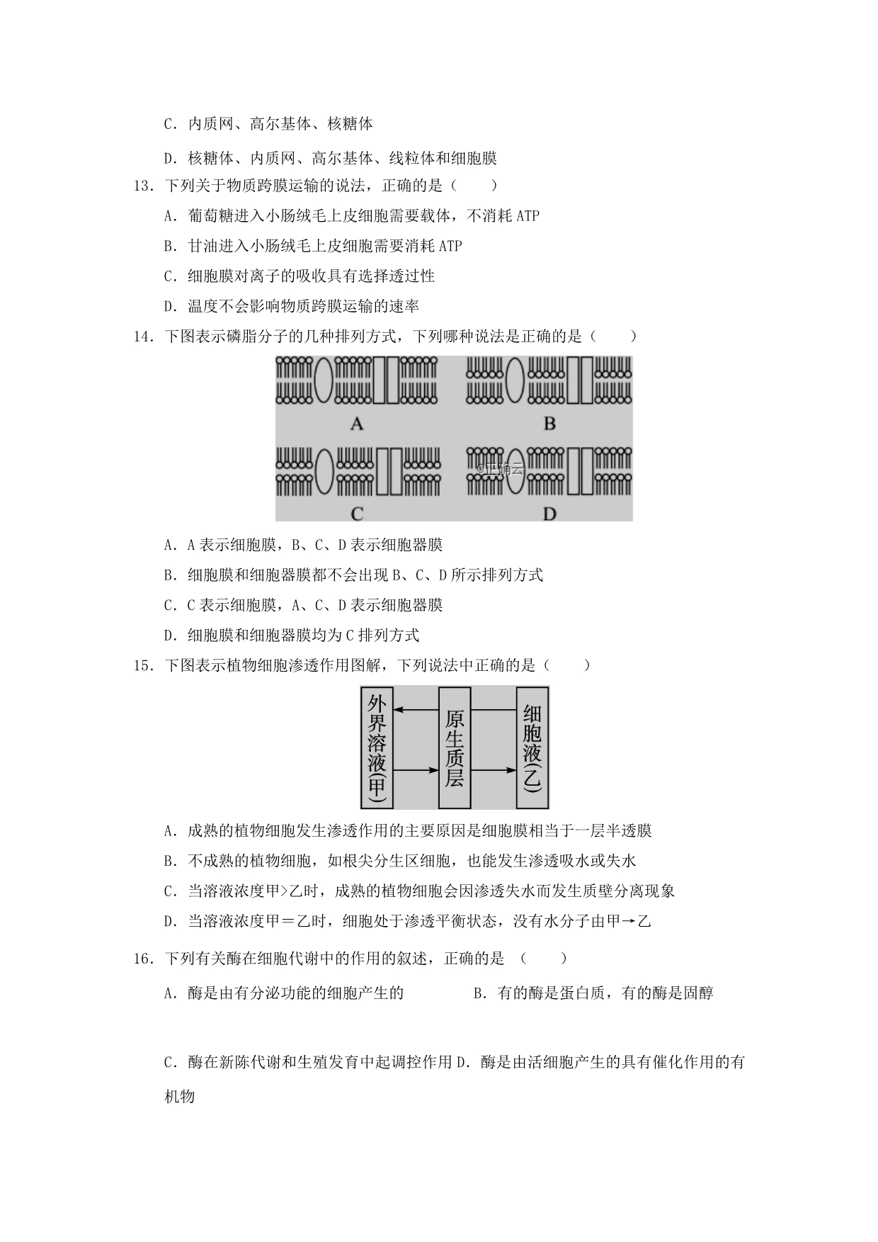 河北省鸡泽县第一中学2019_2020学年高一生物上学期末复习试题_第3页