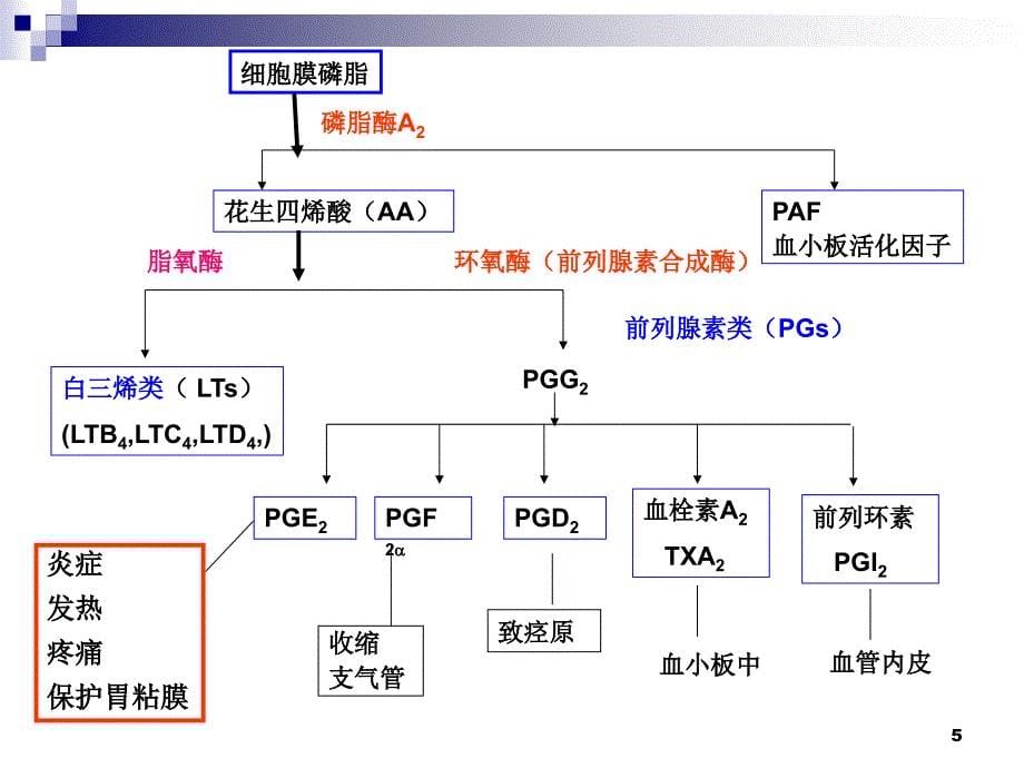 非甾体抗炎药ppt课件 (2).ppt_第5页