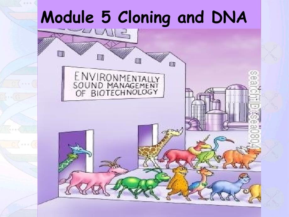 module5cloningandDNA_第2页