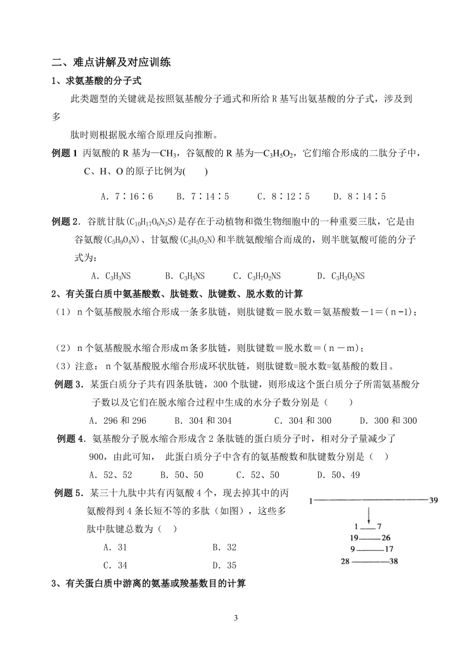 高中生物一轮复习资料——蛋白质专题_第3页