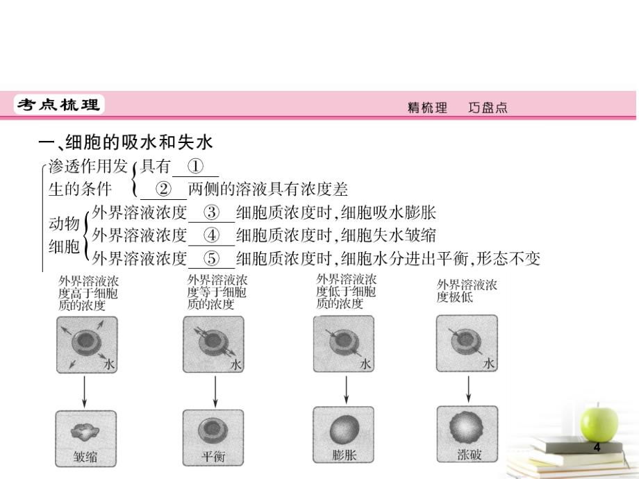 高中生物复习物质跨膜运输的实例新人教版必修1ppt课件.ppt_第4页