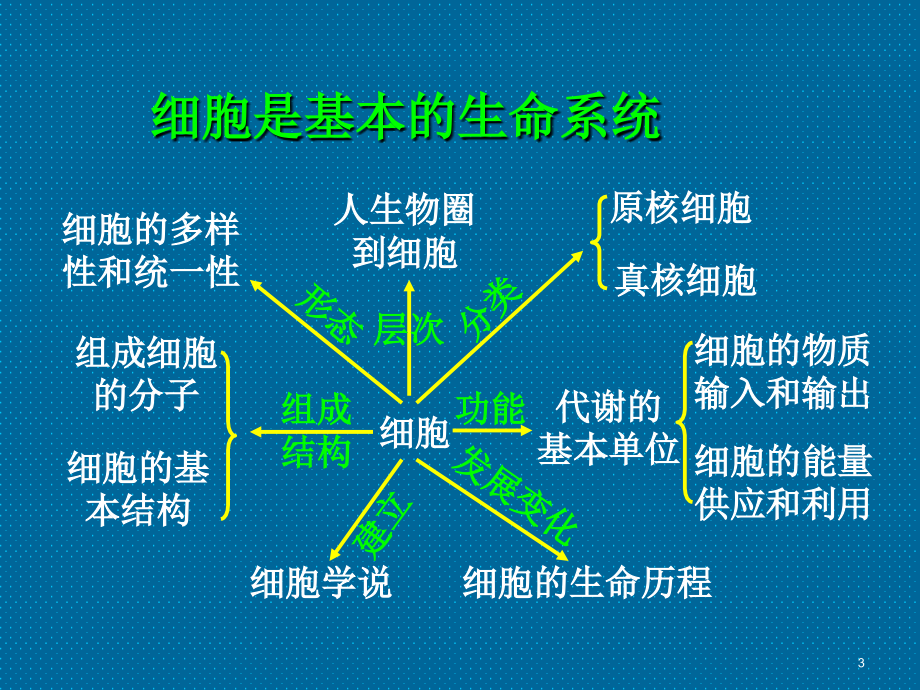 高中生物必修一全册ppt课件.ppt_第3页