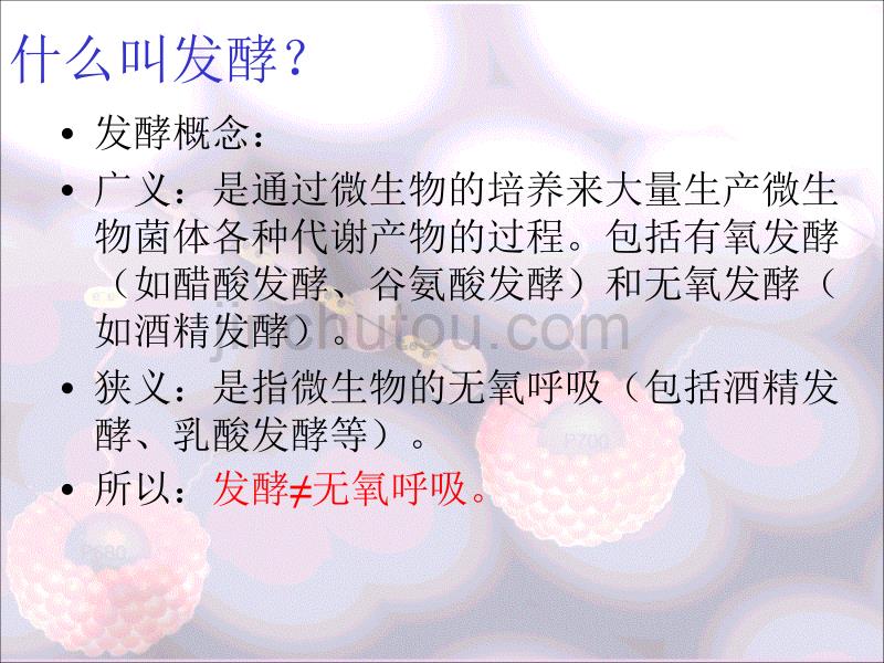 高中生物选修一1.1 果酒和果醋的制作ppt课件.ppt_第5页