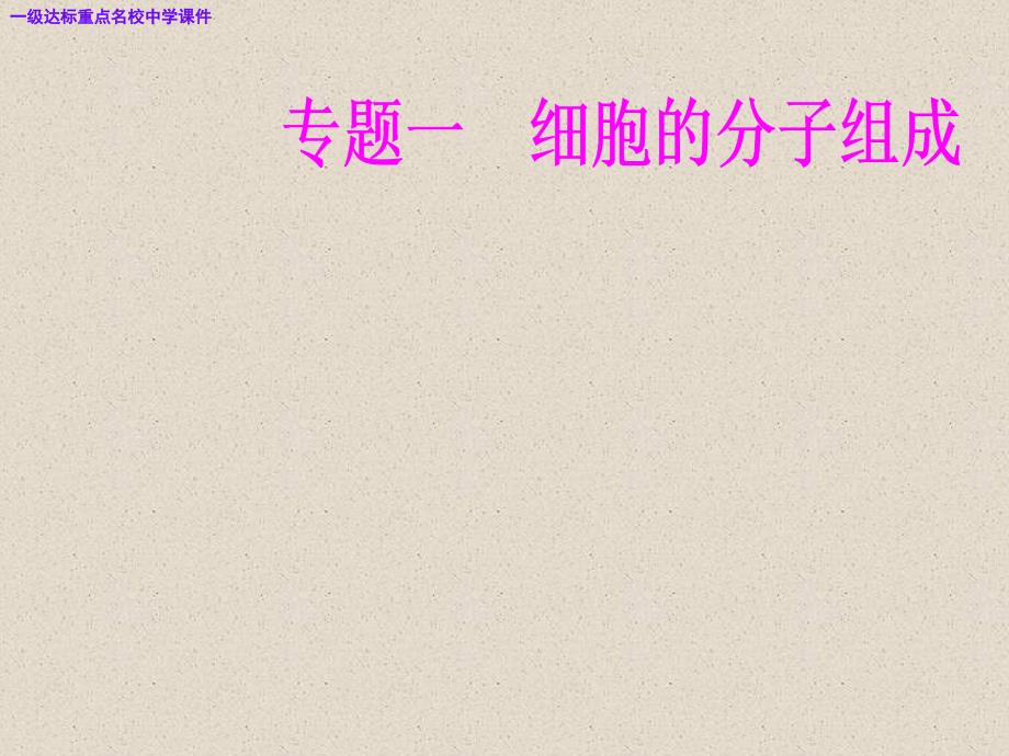 高中生物学业水平复习专题一考点1蛋白质核酸的结构和功能ppt课件.ppt_第2页