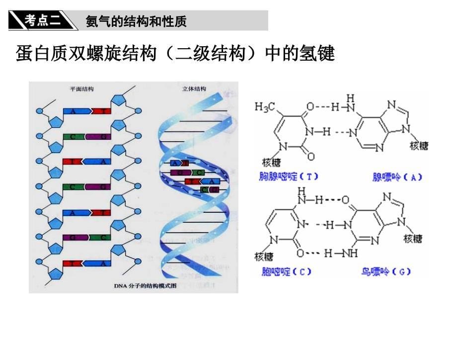 高三第一轮复习 氮及其重要化合物_第5页