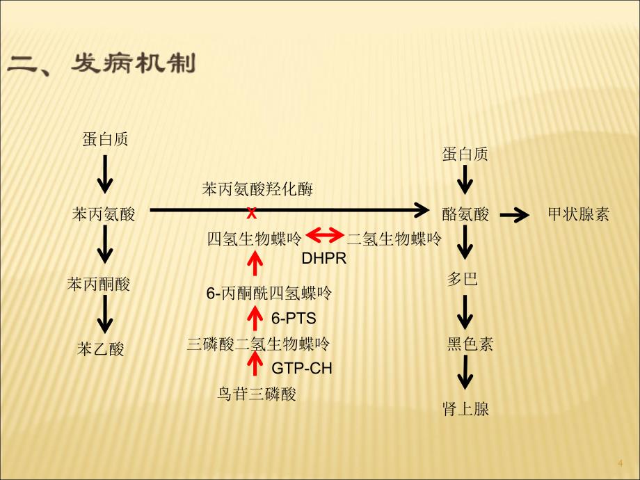 高苯丙氨酸苯丙酮尿症血症ppt课件.ppt_第4页