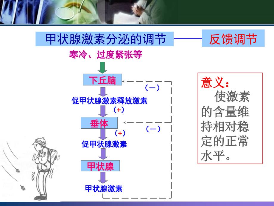 最新甲状腺功能的实验室检查_第4页