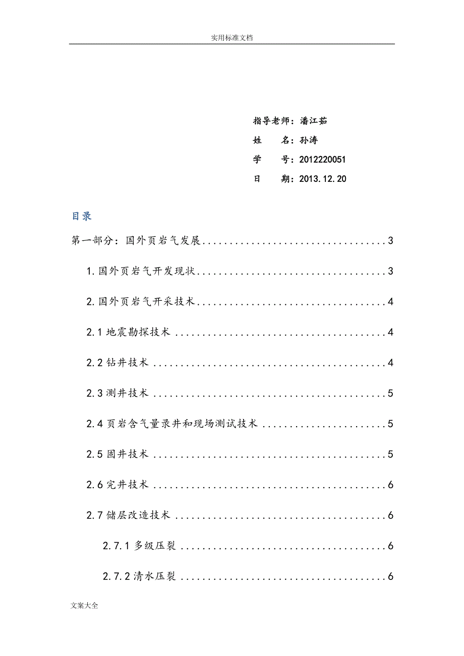 页岩气国内外发展现状_第2页