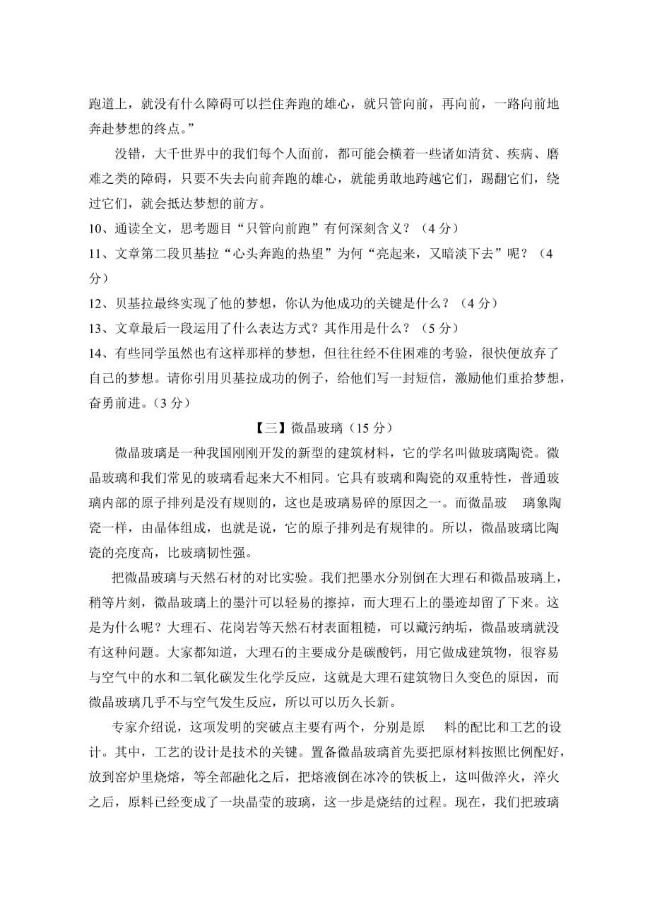 天长市安乐九年制学校九年级语文试卷.doc_第5页