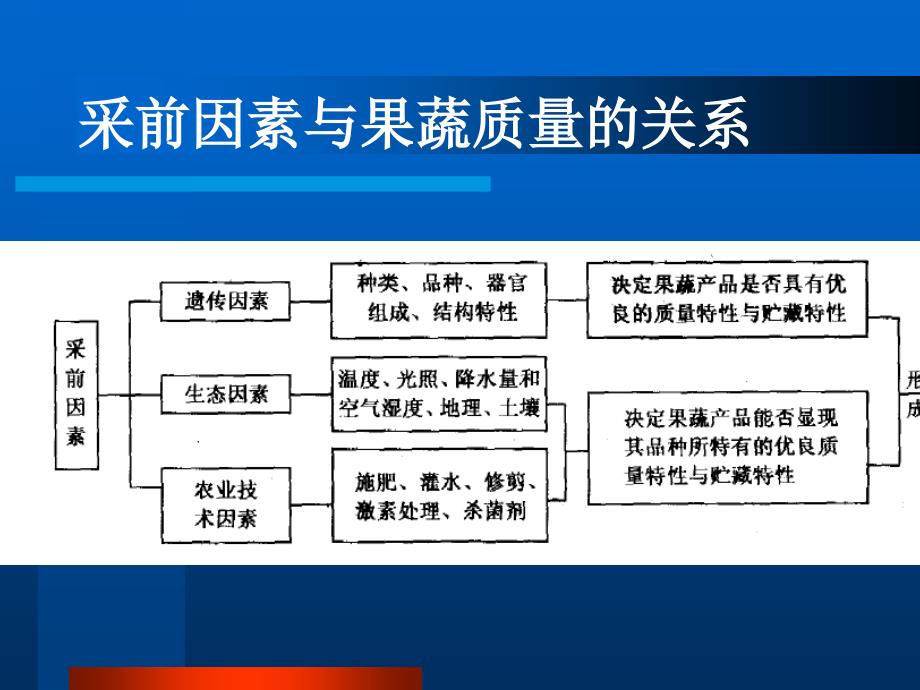 【新编】影响果蔬产品贮藏性的因素概述_第3页