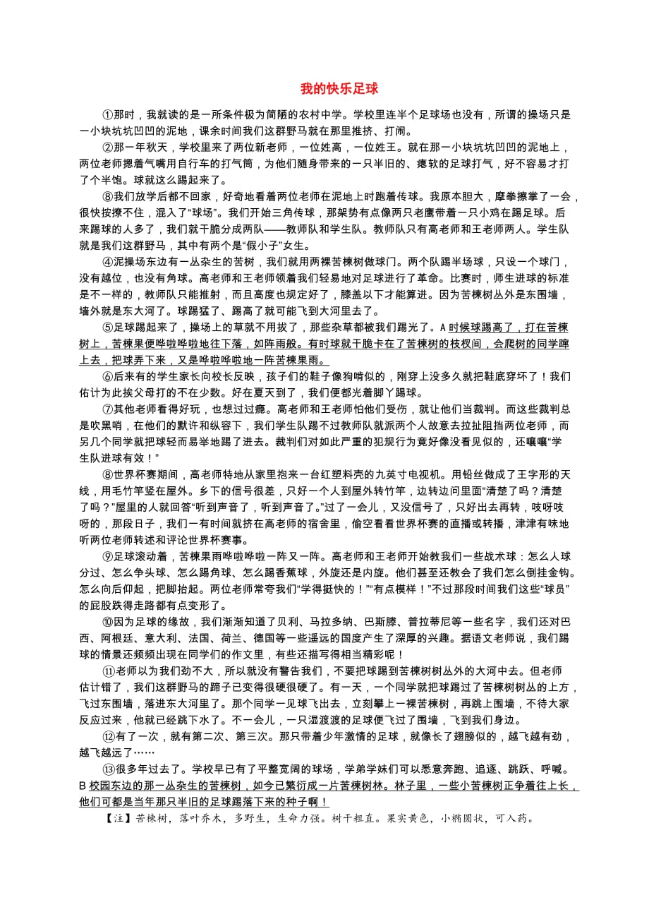 现代文阅读：《我的快乐足球》(散文)_第1页