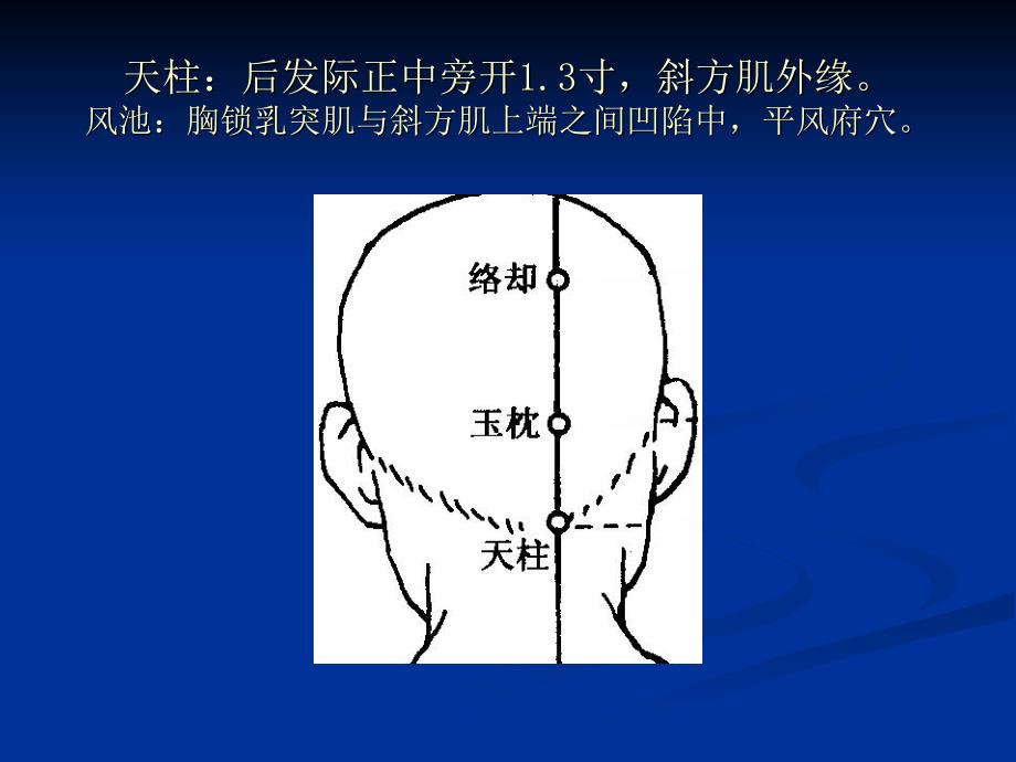 最新 针灸穴位_第2页