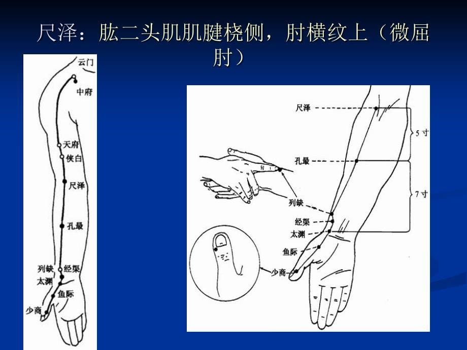 最新 针灸穴位_第5页