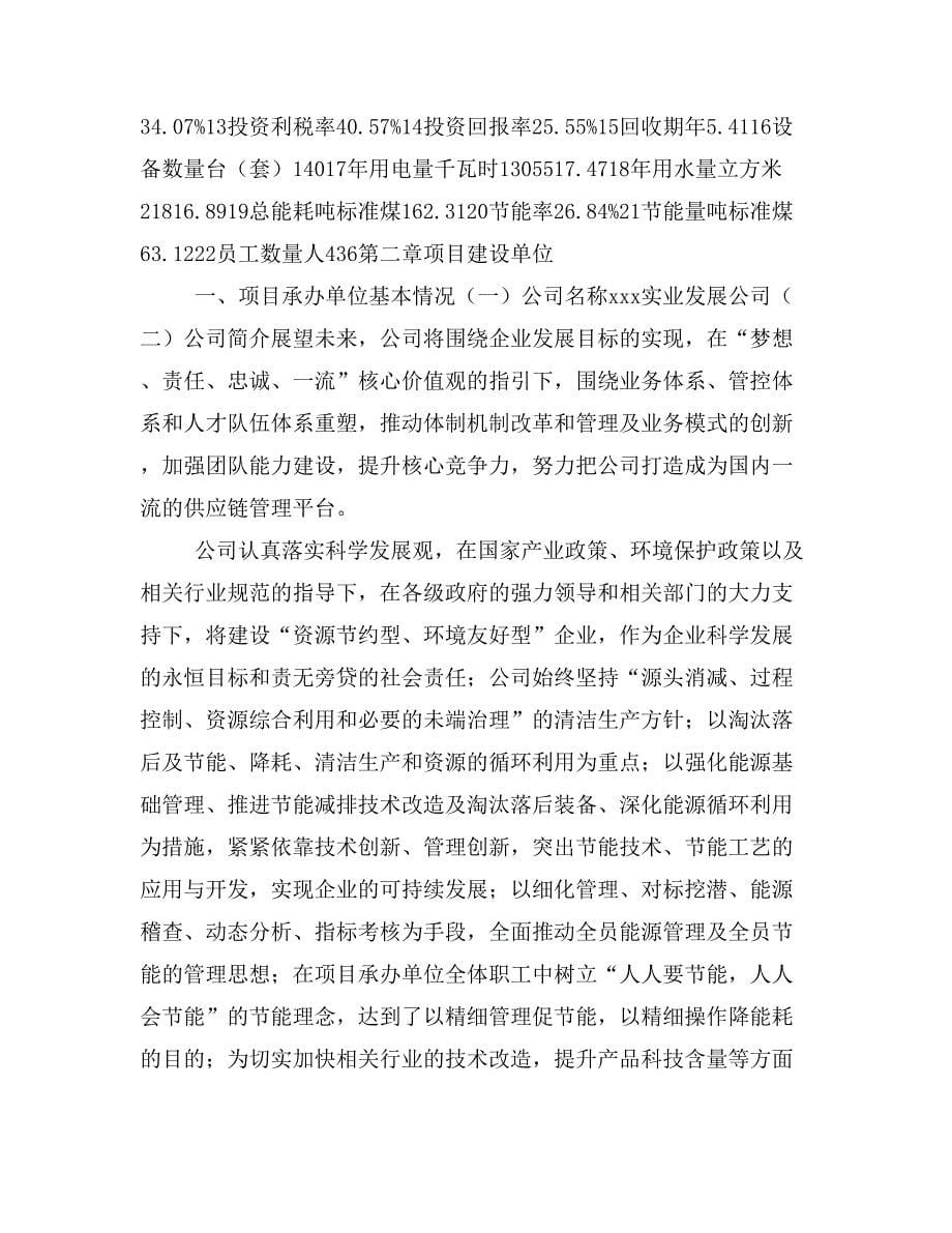 轻烧镁粉窑项目计划书(项目投资分析)_第5页