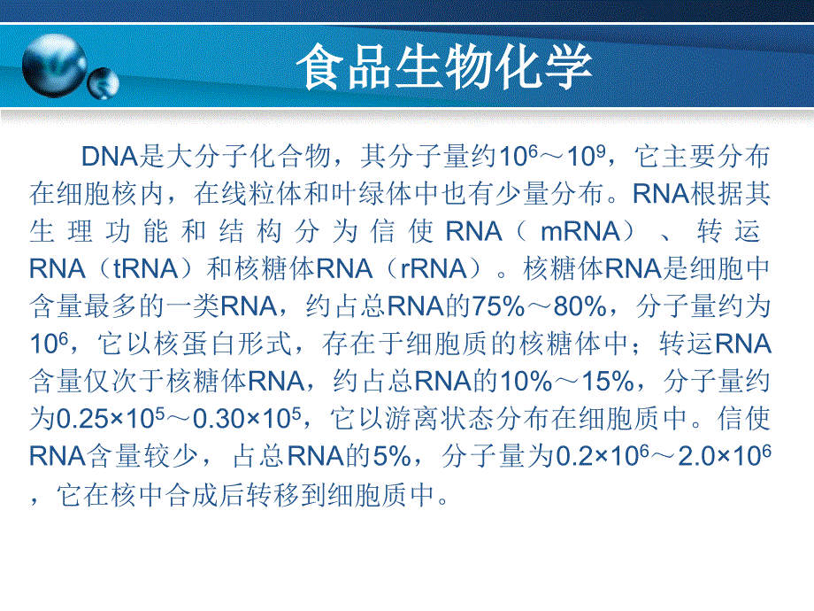 食品生物化学---第5章_第4页