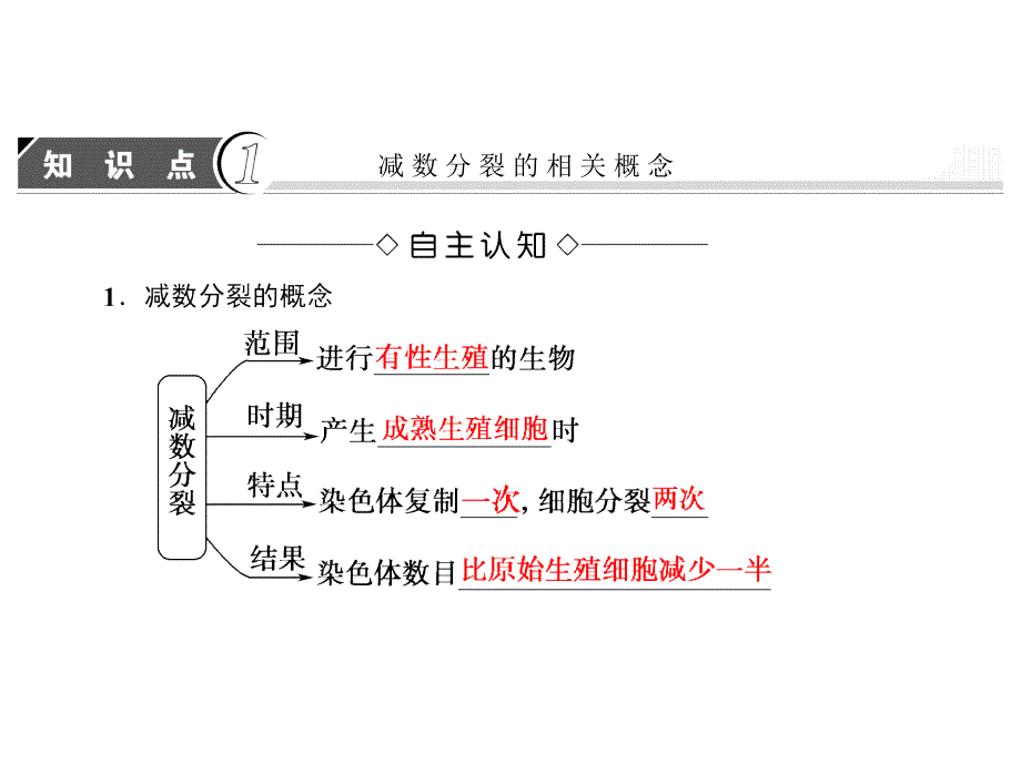 高中生物(人教版必修二)同步课件第章第节减数分裂和受精作用(Ⅰ)_第2页