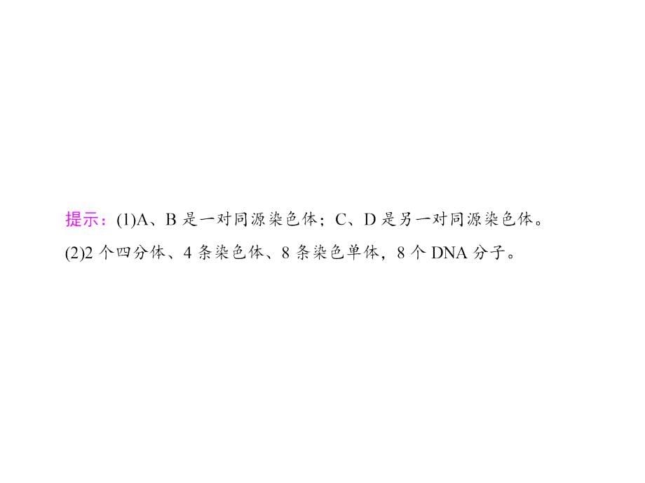 高中生物(人教版必修二)同步课件第章第节减数分裂和受精作用(Ⅰ)_第5页