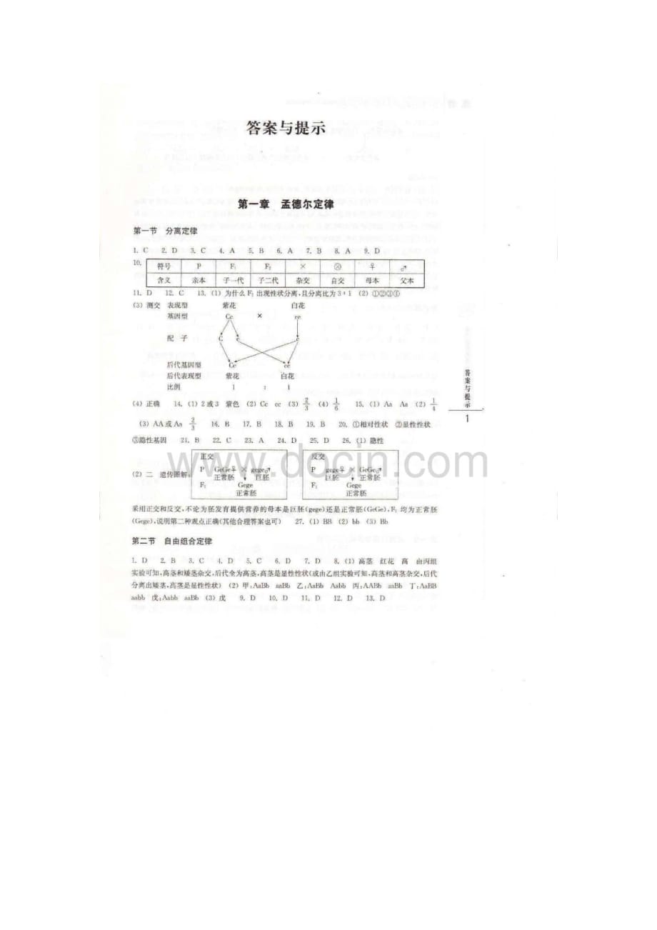 高中生物必修2作业本答案.doc_第4页