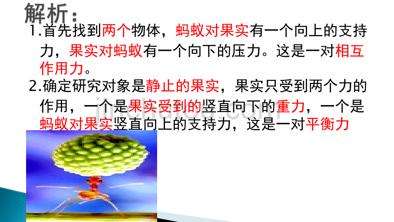 相互作用力与平衡力的区别_第5页