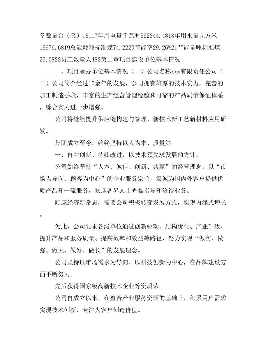 光伏拼片组件项目计划书(项目投资分析)_第5页