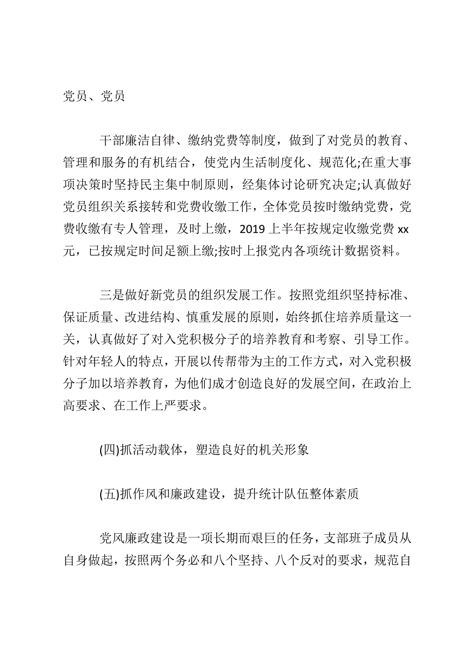 2019支部上半年总结_第4页