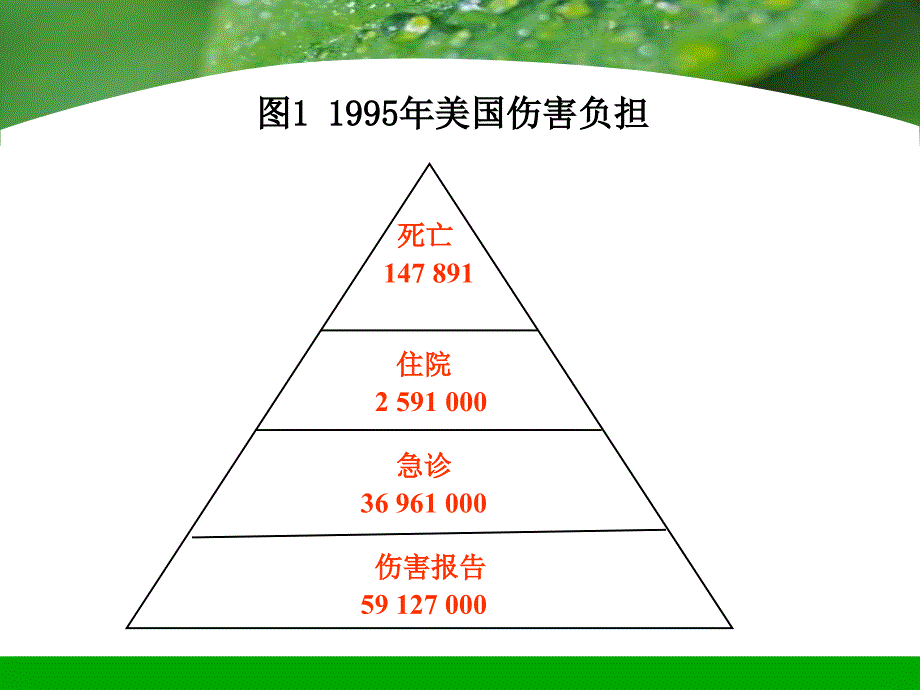 伤害 Injury Epidemiology_第3页