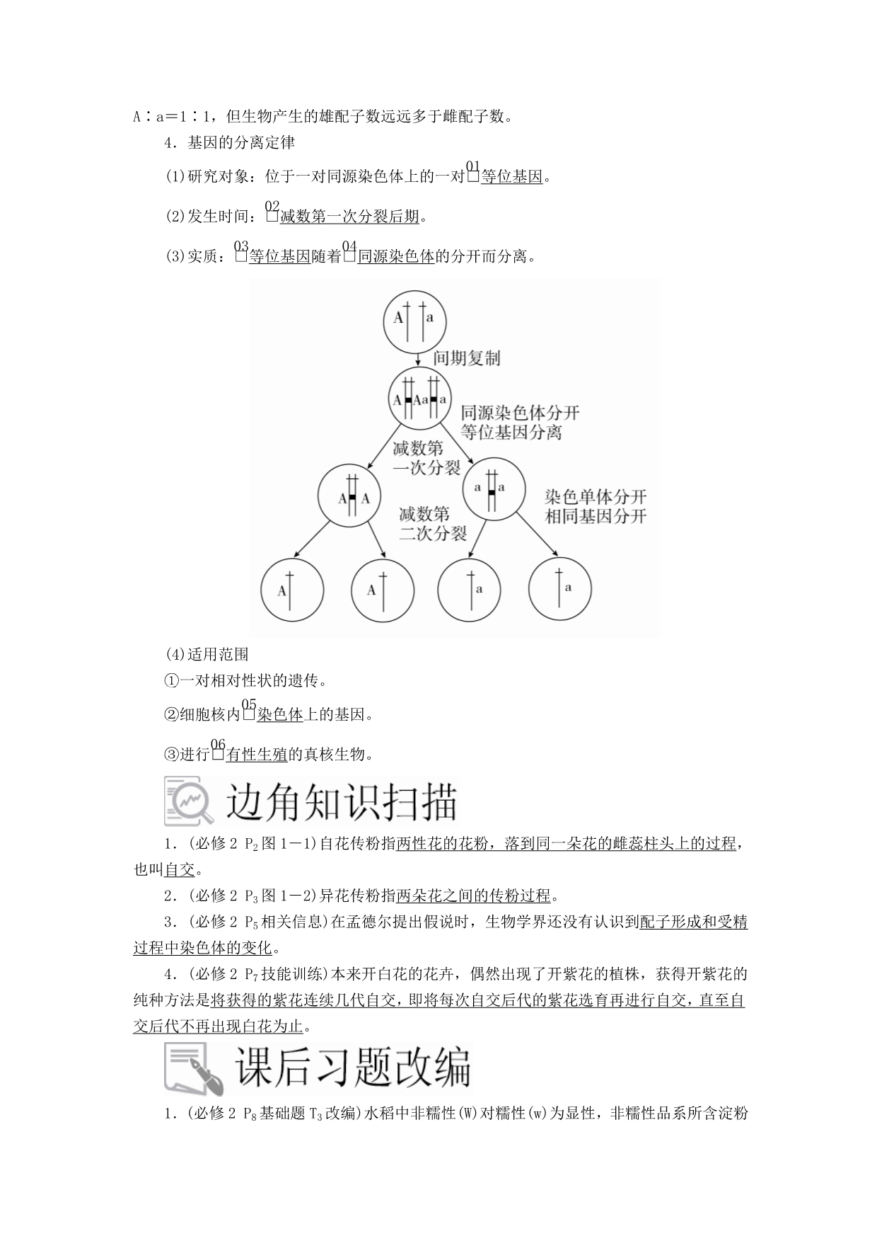 高考生物一轮复习第5单元遗传的基本规律与伴性遗传第14讲基因的分离定律学案（含解析）（必修2）_第4页