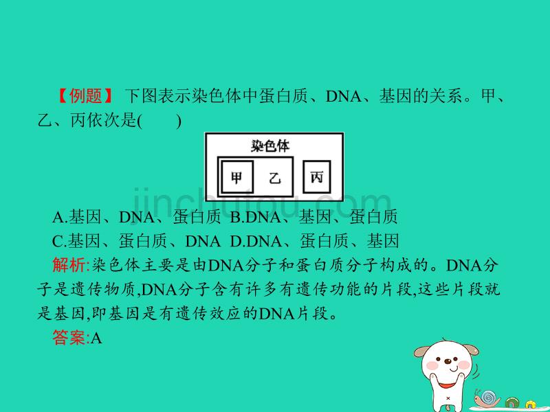 （福建专版）八年级生物下册第七单元生物圈中生命的延续和发展第二章生物的遗传和变异第二节基因在亲子代间的传递课件（新版）新人教版_第5页