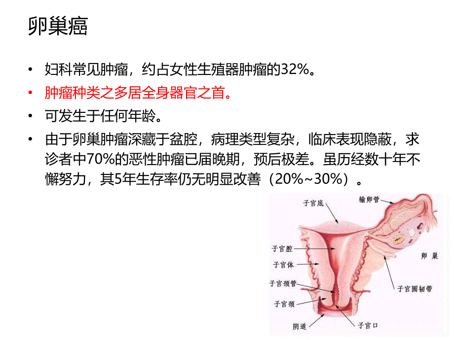 卵巢癌的中西医结合诊断和治疗PPT课件.ppt_第2页