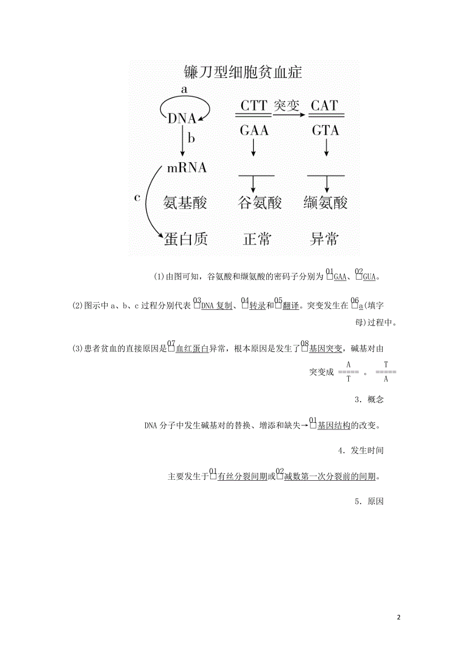 高考生物一轮复习第7单元生物的变异育种和进化第21讲基因突变和基因重组学案含解析必修2_第2页