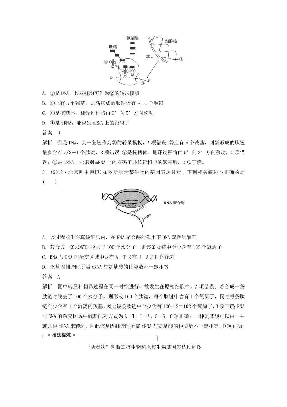 高考生物新导学大一轮复习第五单元遗传的分子基础第16讲遗传信息的表达讲义（含解析）北师大版_第5页