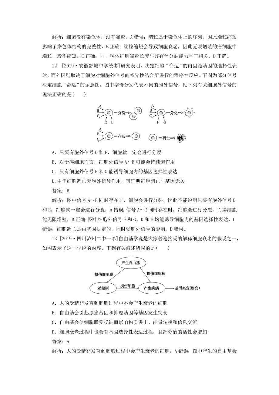 高考生物一轮复习全程训练计划课练9细胞的分化、衰老、凋亡和癌变（含解析）_第5页