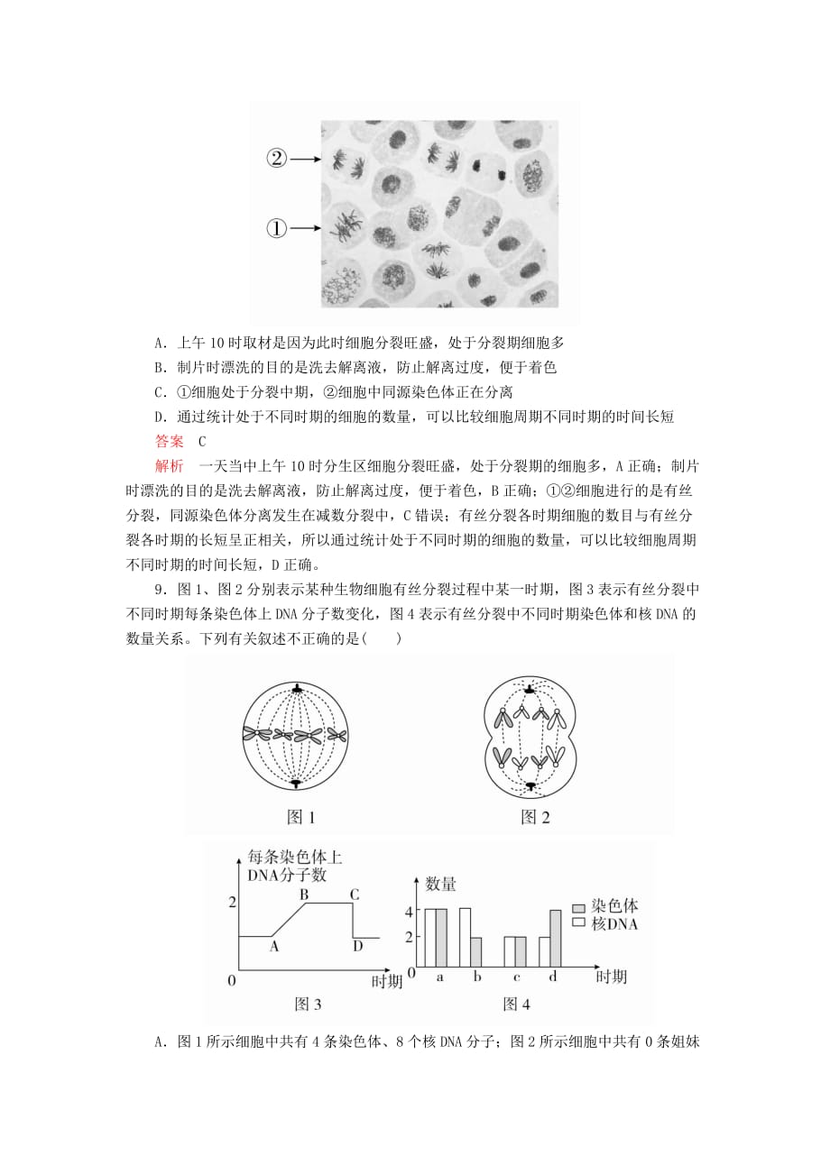 高考生物一轮复习第4单元细胞的生命历程第11讲细胞的有丝分裂课后作业（含解析）（必修1）_第4页