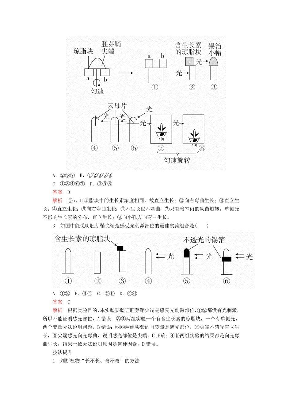 高考生物一轮复习第8单元生命活动的调节第28讲植物激素的调节学案（含解析）（必修3）_第5页