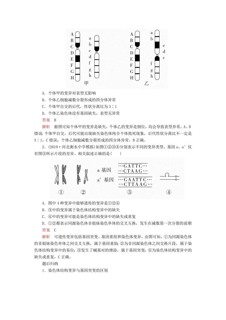 高考生物一轮复习第7单元生物的变异、育种和进化第22讲染色体变异与育种学案（含解析）（必修2）_第5页